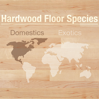 <p>Common or exotic hardwood gives different looks and benefits. Learn about some domestic and exotic wood species at <strong>0:09</strong> in the video.</p><br/>